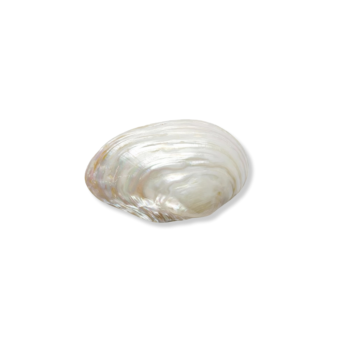 Mother of Pearl: Purity